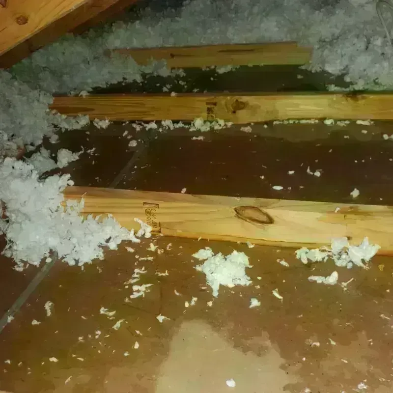 Attic Water Damage in Hazen, AR